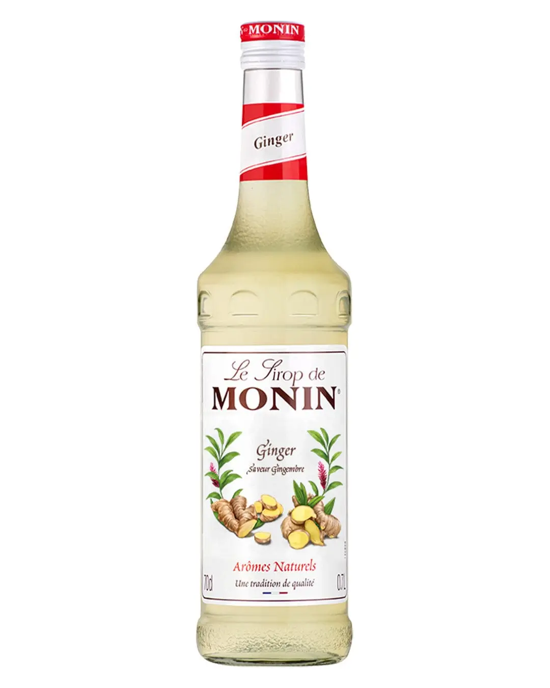 Monin Ginger Syrup 75CLX6