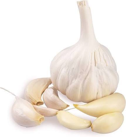 Fresh Garlic