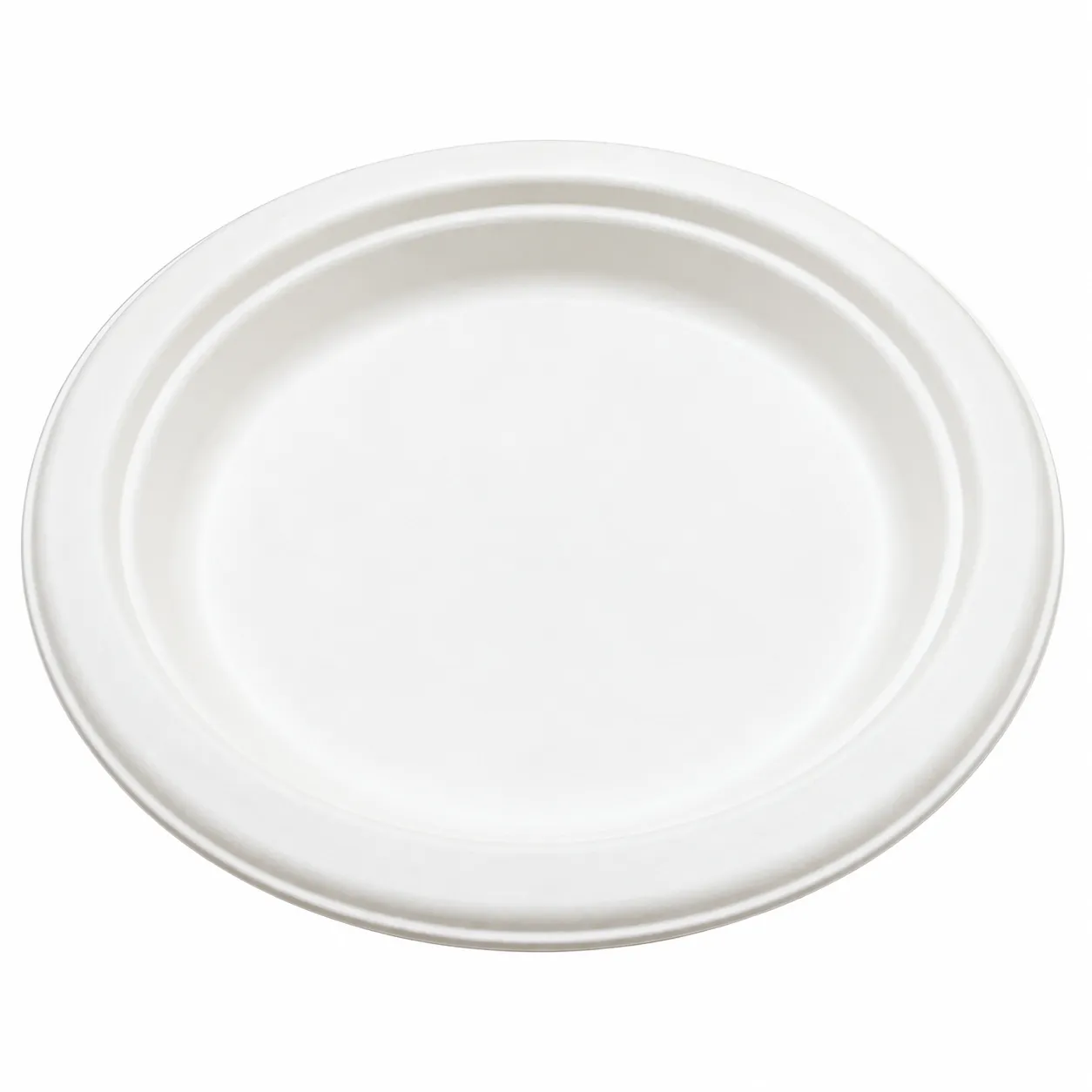 10″ Bagasse Plates ( 500pcs )